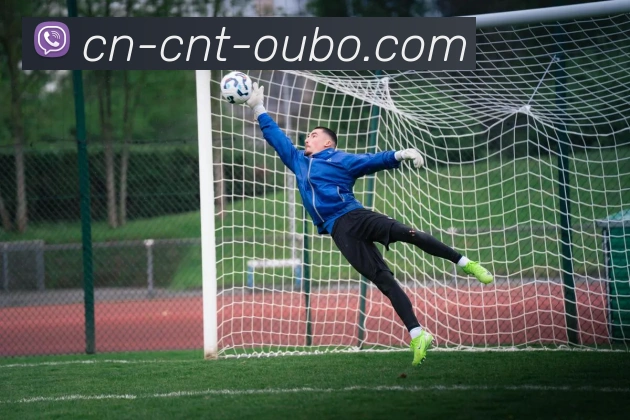 欧博娱乐发展历程